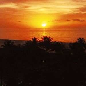 Meet your Posher, Michele